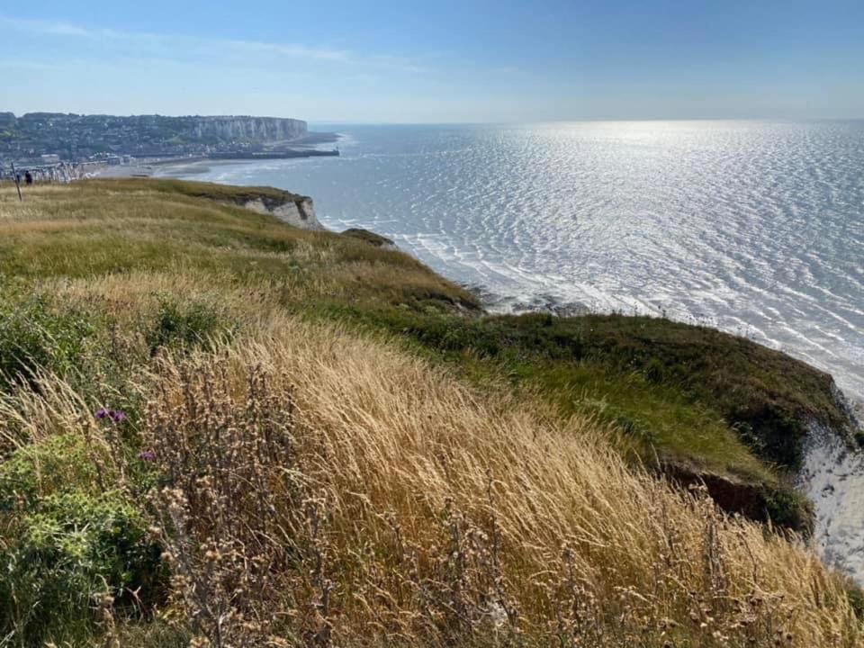 Plage A 50M Appartement Reves Bleus Villa Les Bains De Mers Εξωτερικό φωτογραφία